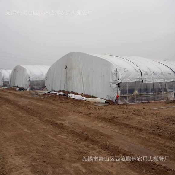 豬舍養殖大棚