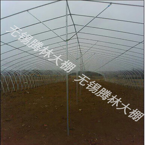 養殖大棚建設