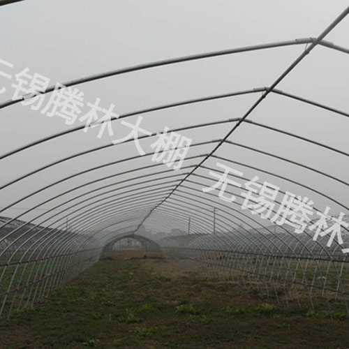 GP825型單體大棚