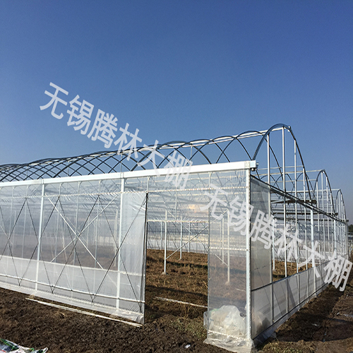 建一個溫室要多少錢
