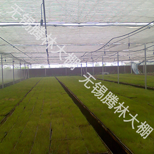 連棟內部照片