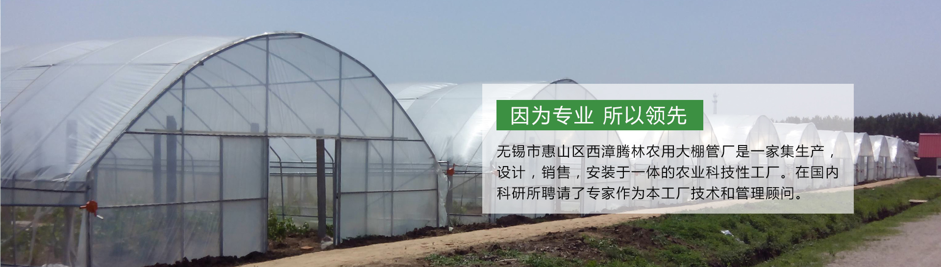 連棟溫室大棚