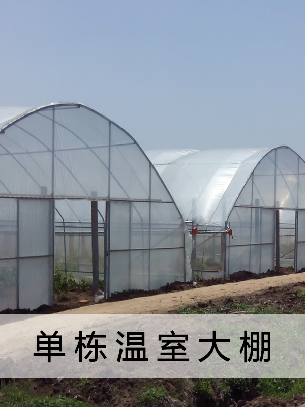 GLP832 8430連棟大棚29