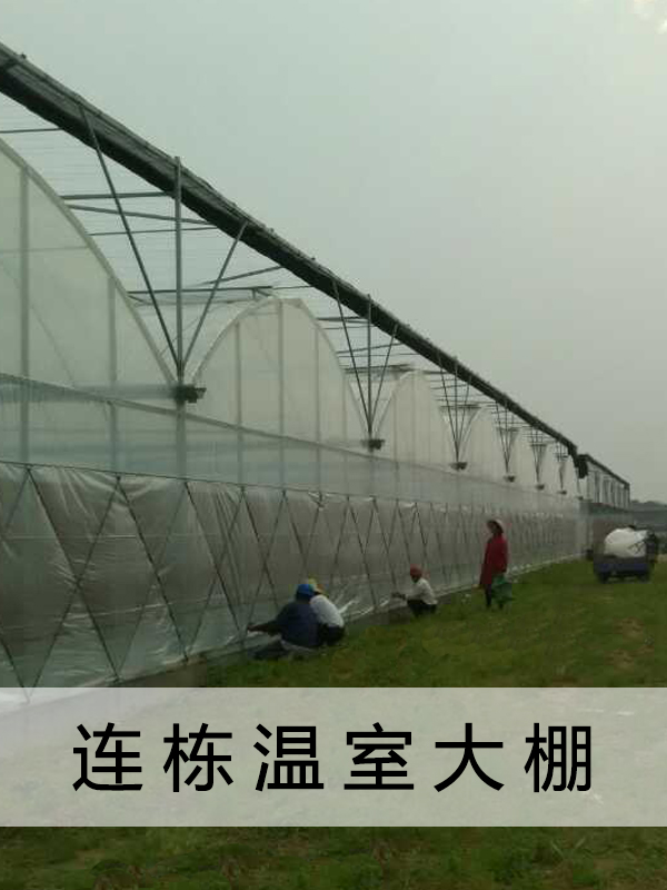 GLP832 8430連棟大棚30
