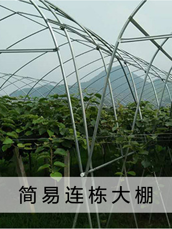 GLP832 8430連棟大棚27